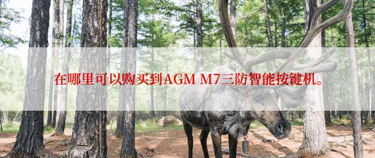 在哪里可以购买到AGM M7三防智能按键机。