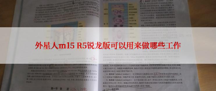 外星人m15 R5锐龙版可以用来做哪些工作