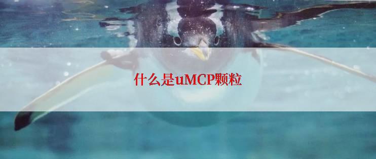 什么是uMCP颗粒