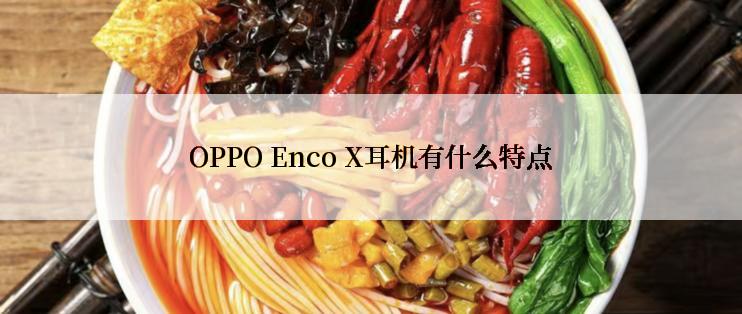 OPPO Enco X耳机有什么特点