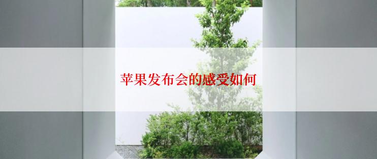 苹果发布会的感受如何