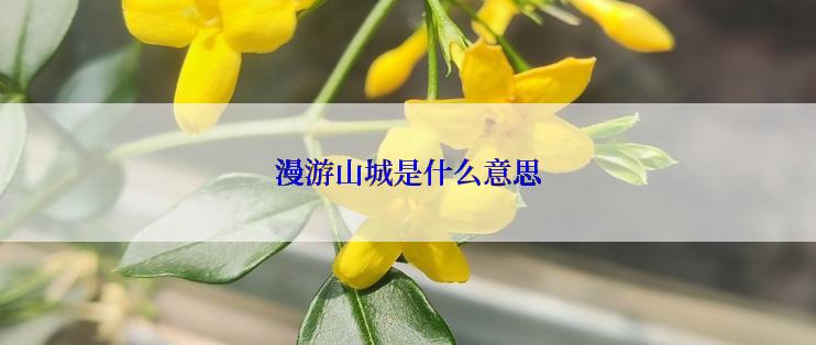 漫游山城是什么意思