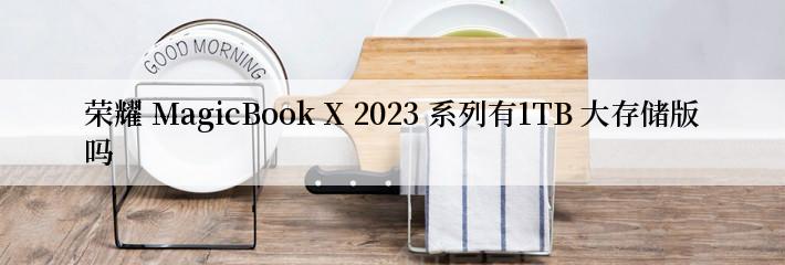 荣耀 MagicBook X 2023 系列有1TB 大存储版吗