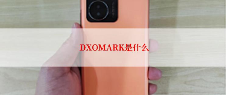  DXOMARK是什么