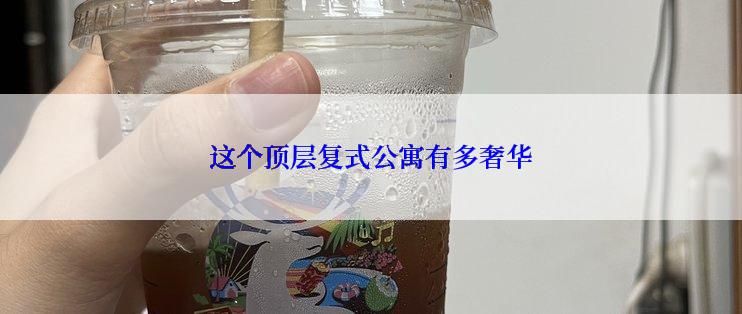 这个顶层复式公寓有多奢华