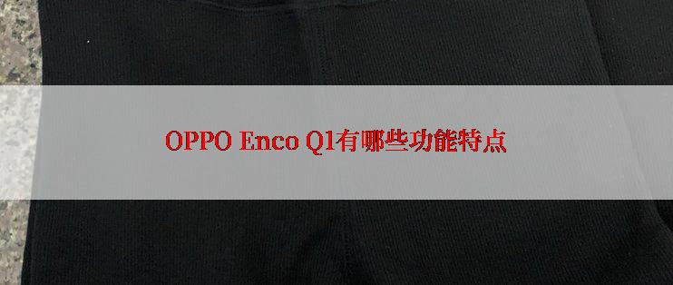 OPPO Enco Q1有哪些功能特点