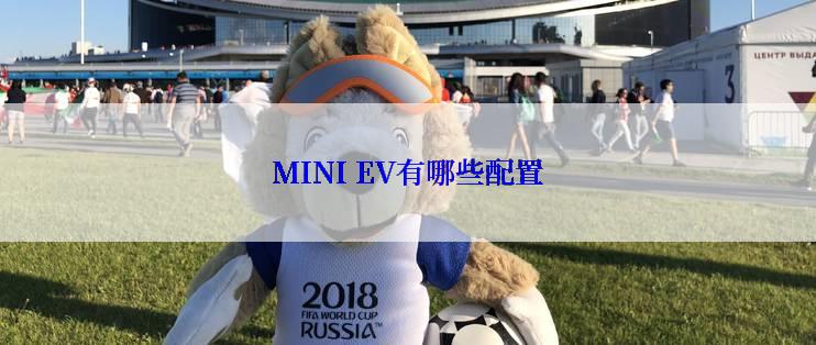 MINI EV有哪些配置