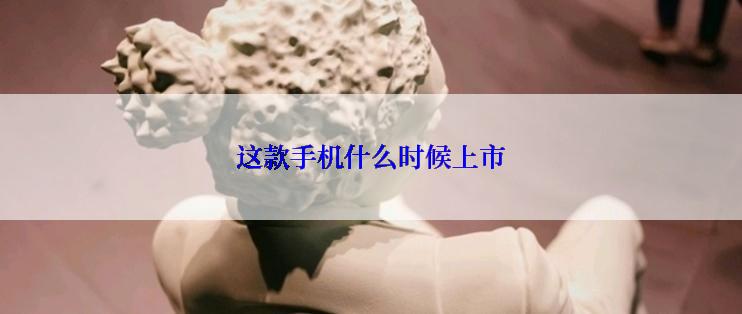 这款手机什么时候上市