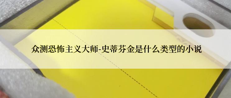  众测恐怖主义大师-史蒂芬金是什么类型的小说