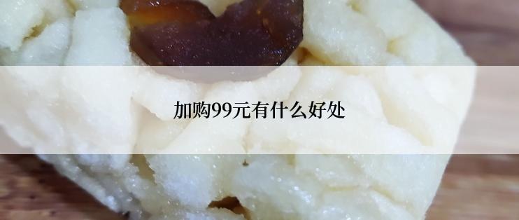 加购99元有什么好处