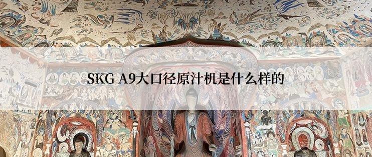 SKG A9大口径原汁机是什么样的