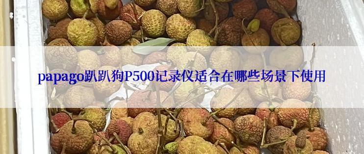 papago趴趴狗P500记录仪适合在哪些场景下使用