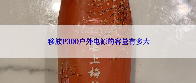  移族P300户外电源的容量有多大