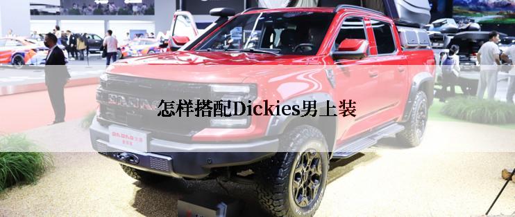 怎样搭配Dickies男上装