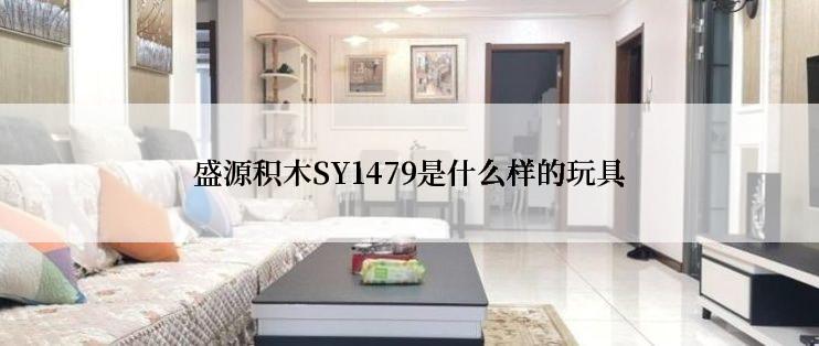 盛源积木SY1479是什么样的玩具