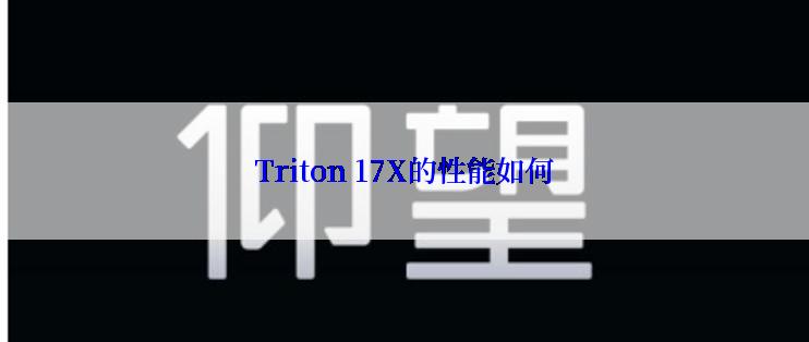 Triton 17X的性能如何