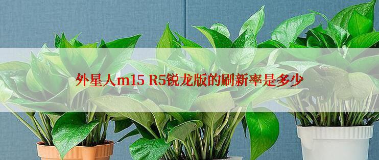 外星人m15 R5锐龙版的刷新率是多少