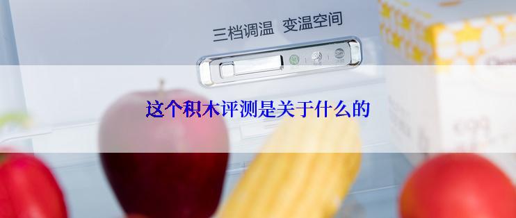 这个积木评测是关于什么的