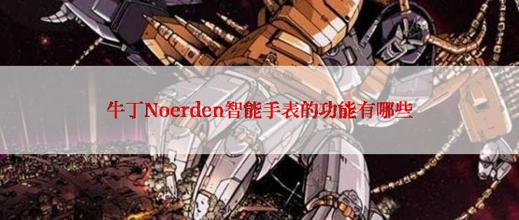 牛丁Noerden智能手表的功能有哪些