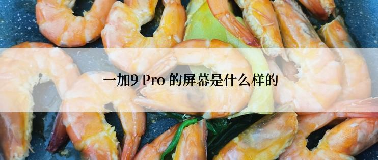  一加9 Pro 的屏幕是什么样的