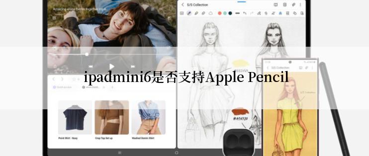  ipadmini6是否支持Apple Pencil