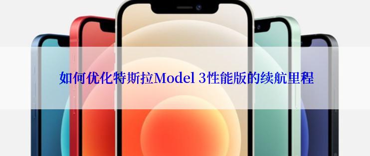  如何优化特斯拉Model 3性能版的续航里程