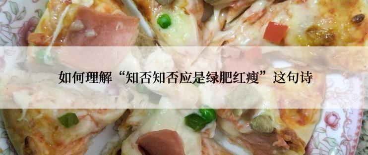  如何理解“知否知否应是绿肥红瘦”这句诗