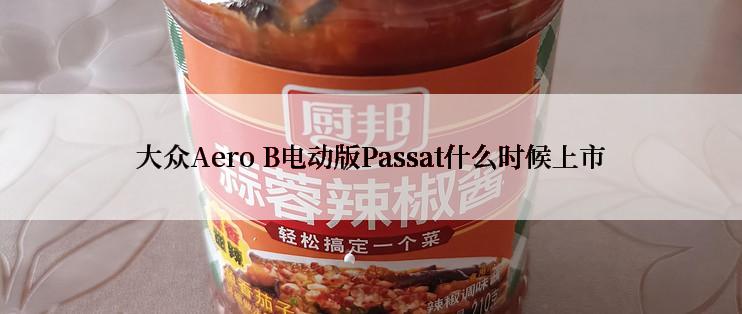 大众Aero B电动版Passat什么时候上市