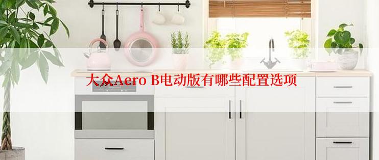  大众Aero B电动版有哪些配置选项