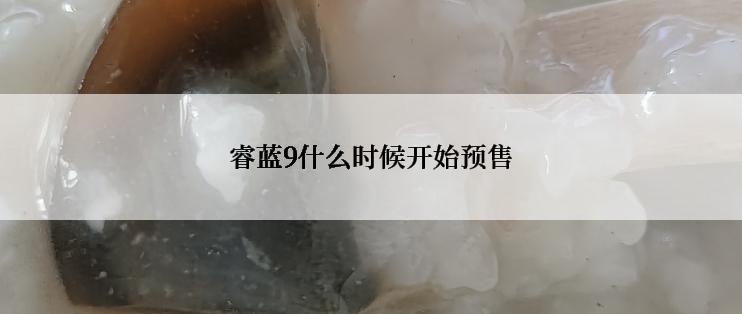 睿蓝9什么时候开始预售