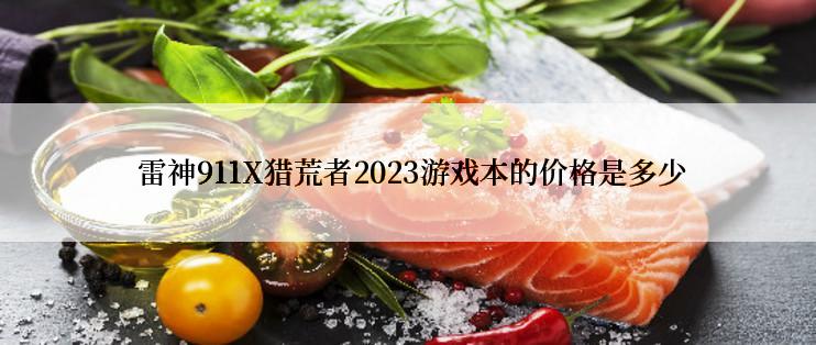  雷神911X猎荒者2023游戏本的价格是多少