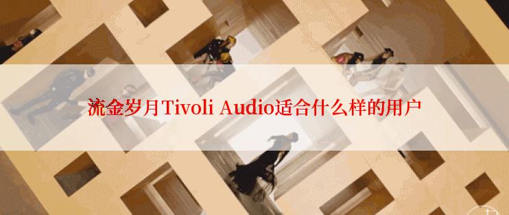 流金岁月Tivoli Audio适合什么样的用户