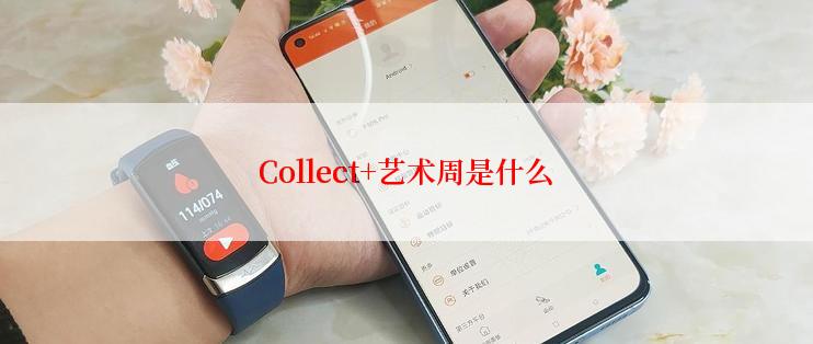 Collect+艺术周是什么