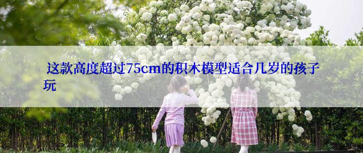  这款高度超过75cm的积木模型适合几岁的孩子玩