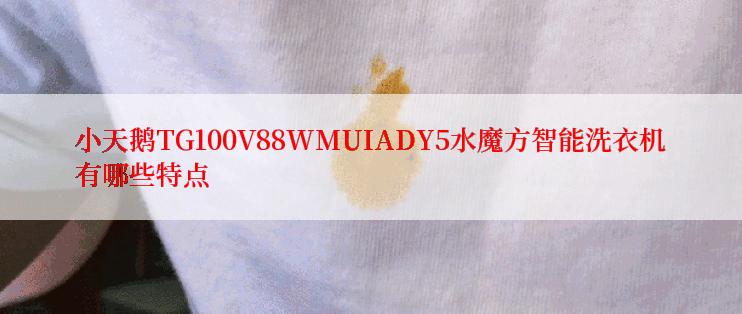 小天鹅TG100V88WMUIADY5水魔方智能洗衣机有哪些特点