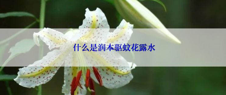  什么是润本驱蚊花露水