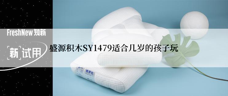 盛源积木SY1479适合几岁的孩子玩