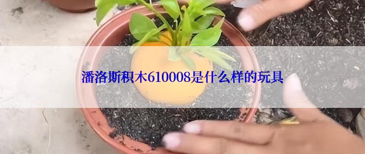 潘洛斯积木610008是什么样的玩具