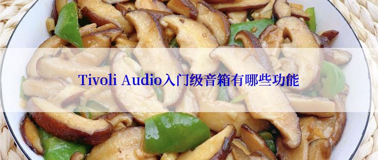 Tivoli Audio入门级音箱有哪些功能