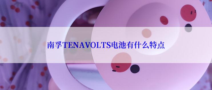 南孚TENAVOLTS电池有什么特点