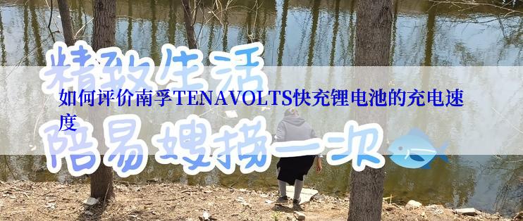 如何评价南孚TENAVOLTS快充锂电池的充电速度