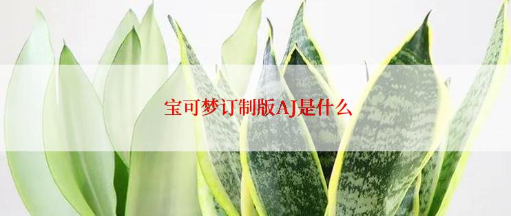  宝可梦订制版AJ是什么