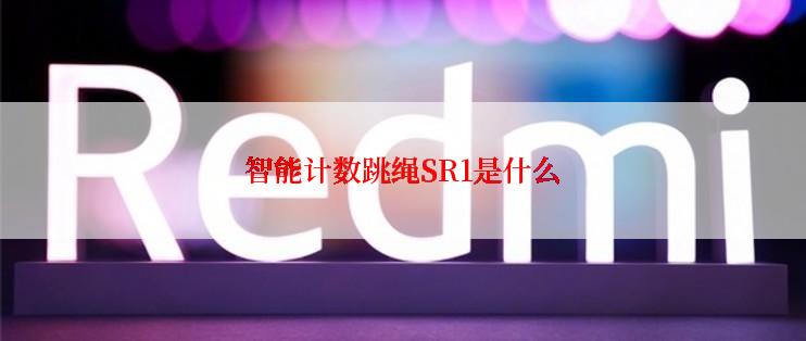 智能计数跳绳SR1是什么