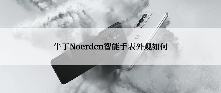 牛丁Noerden智能手表外观如何