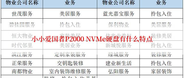 小小爱国者P2000 NVMe硬盘有什么特点