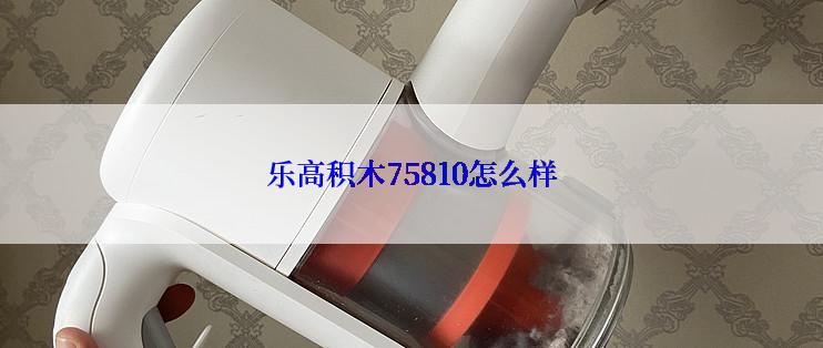 乐高积木75810怎么样