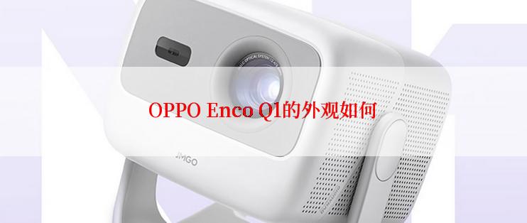 OPPO Enco Q1的外观如何