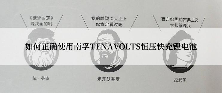 如何正确使用南孚TENAVOLTS恒压快充锂电池