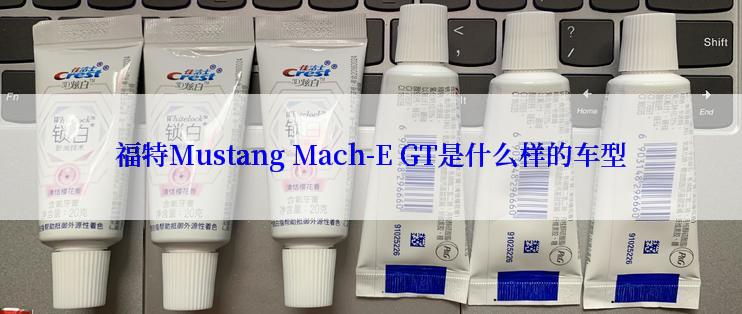 福特Mustang Mach-E GT是什么样的车型