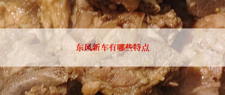 东风新车有哪些特点